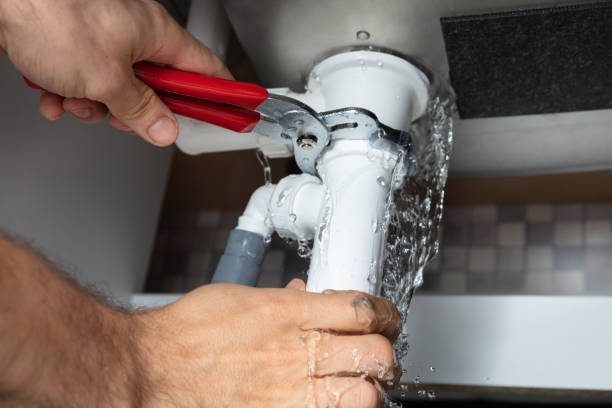 Best Professional water damage repair  in Ivey, GA