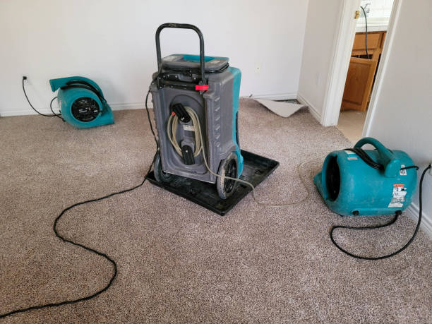 Professional Water damage restoration in Ivey, GA