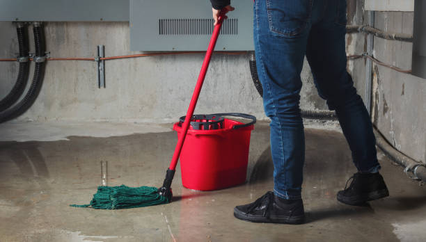 Best Commercial water damage restoration  in Ivey, GA
