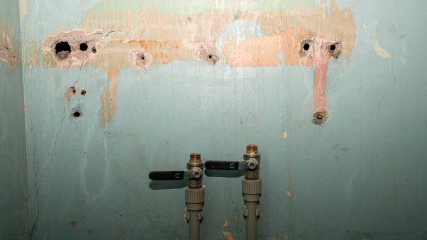 Best Fire Damage Restoration  in Ivey, GA